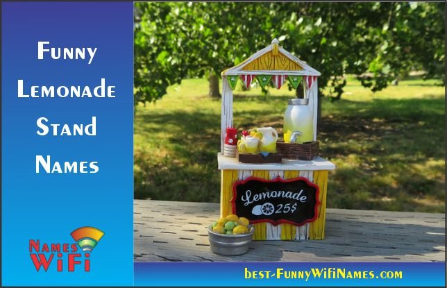 Funny Lemonade Stand Names Picture